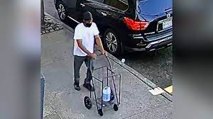 Surveillance camera of the man that is suspected to be the person behind the death of the Mother and Son in Queens. (Photo: ABC7 NEWYORK)