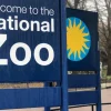 Emergency Evacuation at US Smithsonian National Zoo Amid Suspected Bomb Threat