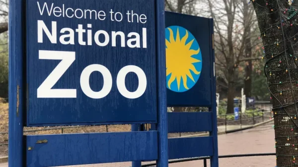 Emergency Evacuation at US Smithsonian National Zoo Amid Suspected Bomb Threat