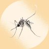 Malaria cases in America continues to rise. (Photo: Everyday Health)