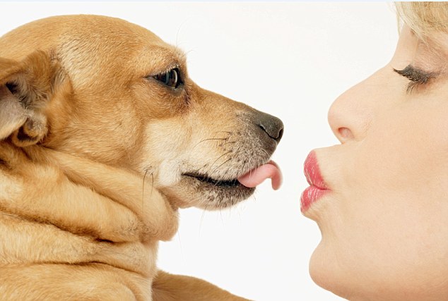 Is it safe to kiss your pets even with a small risk of animal borne diseases? (Photo: Daily Mail)